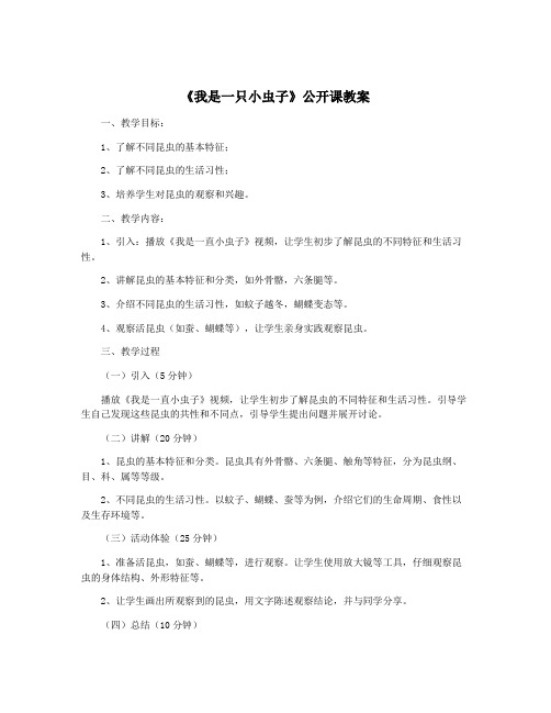 《我是一只小虫子》公开课教案