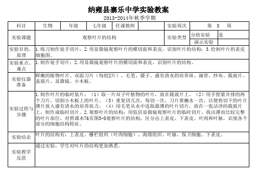 观察叶片的结构实验教案