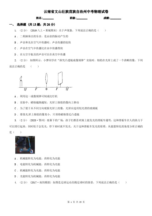 云南省文山壮族苗族自治州中考物理试卷