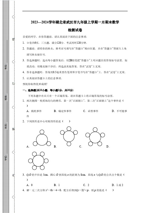 2023-2024学年湖北省武汉市九年级上学期一月期末数学检测试卷(有答案)