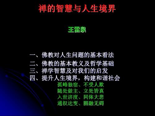 王雷泉-禅的智慧与人生境界(大纲)-精选文档