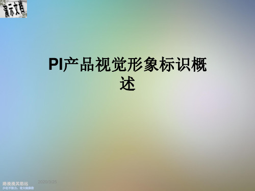 PI产品视觉形象标识概述