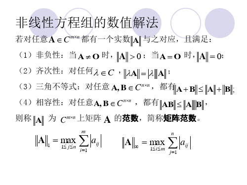 5-非线性方程组的数值解法及最优化方法