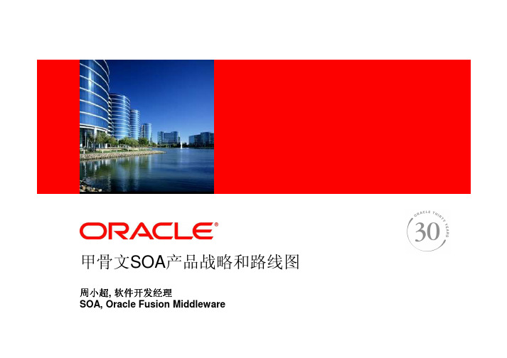 11.[Oracle甲骨文.周小超][中文]Oracle SOA Strategy and Roadmap_ch