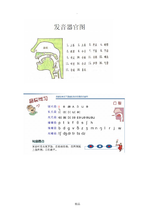 英语国际音标发音口型_舌位一览表