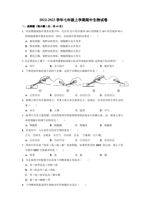 人教版七年级上册生物期中试题含答案