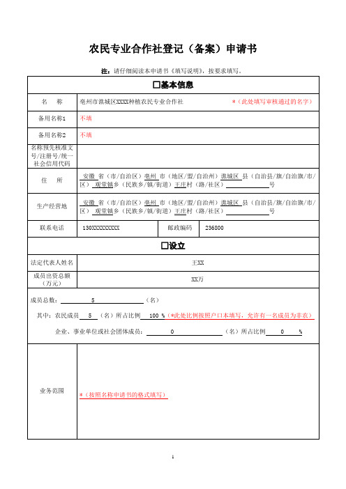 合作社设立登记填写模板