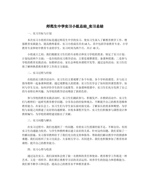 师范生中学实习小组总结_实习总结