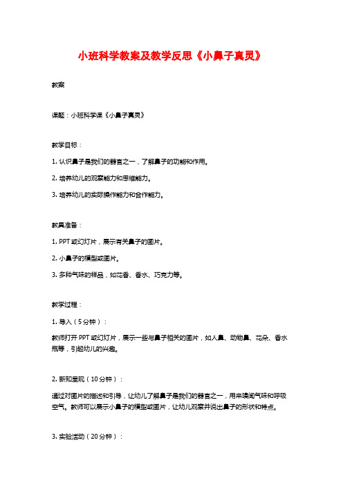 小班科学教案及教学反思《小鼻子真灵》