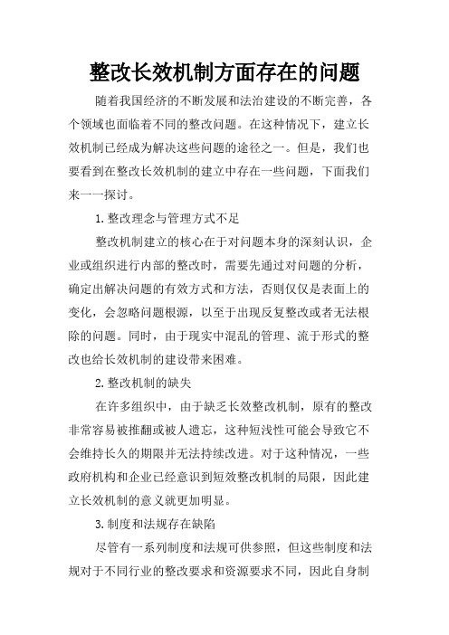 整改长效机制方面存在的问题