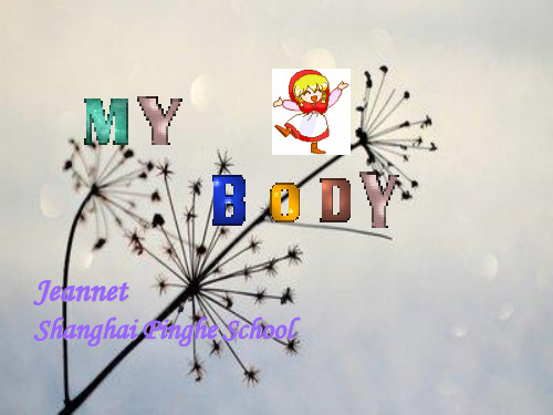 my bodyPPT教学课件(1)