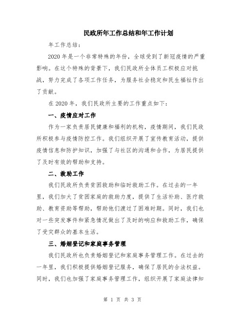 民政所年工作总结和年工作计划