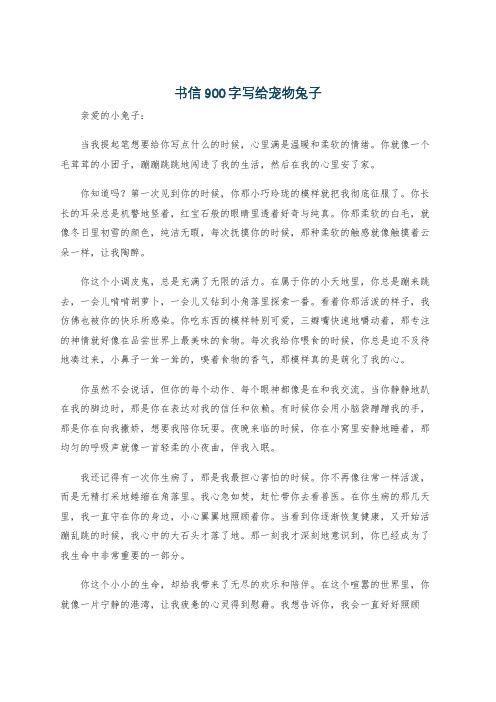 书信900字写给宠物兔子