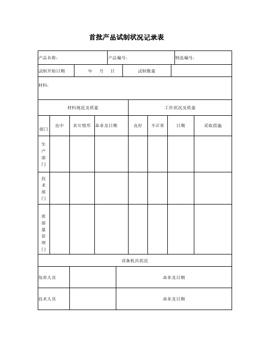 首批产品试制状况记录表模板