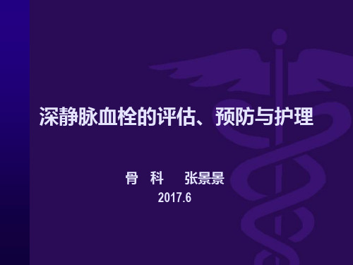深静脉血栓评估、预防及护理pptppt课件