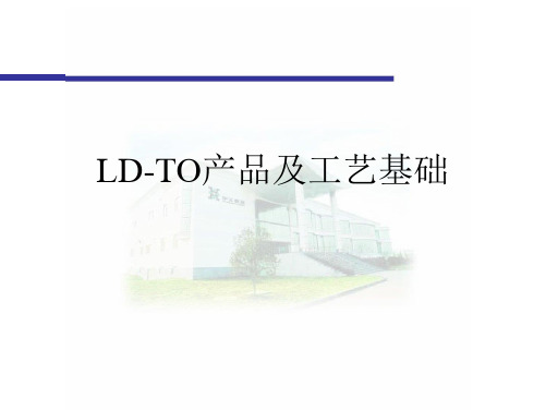 LD-TO产品及工艺基础