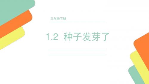 粤教粤科版三年级下册科学1.2 种子发芽了 课件