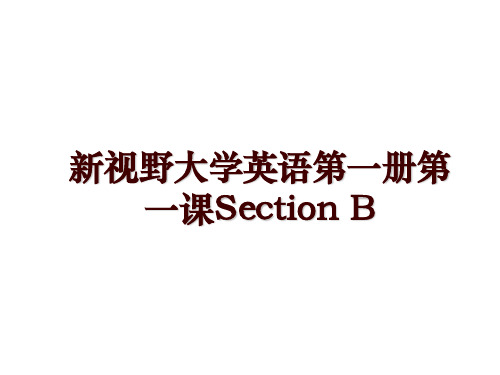 新视野大学英语第一册第一课Section B