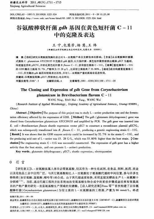 谷氨酸棒状杆菌gdh基因在黄色短杆菌C-11中的克隆及表达