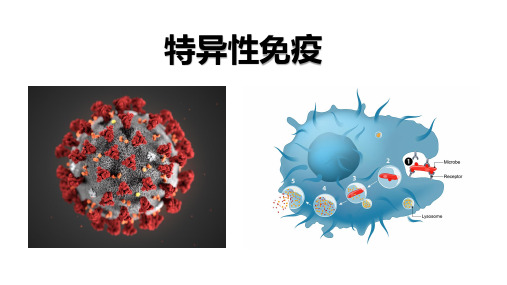 特异性免疫