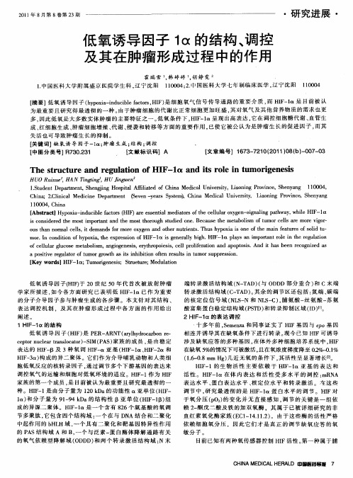 低氧诱导因子1α的结构、调控及其在肿瘤形成过程中的作用