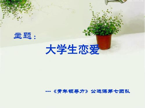 公选课第七组:天鹰队-文档资料