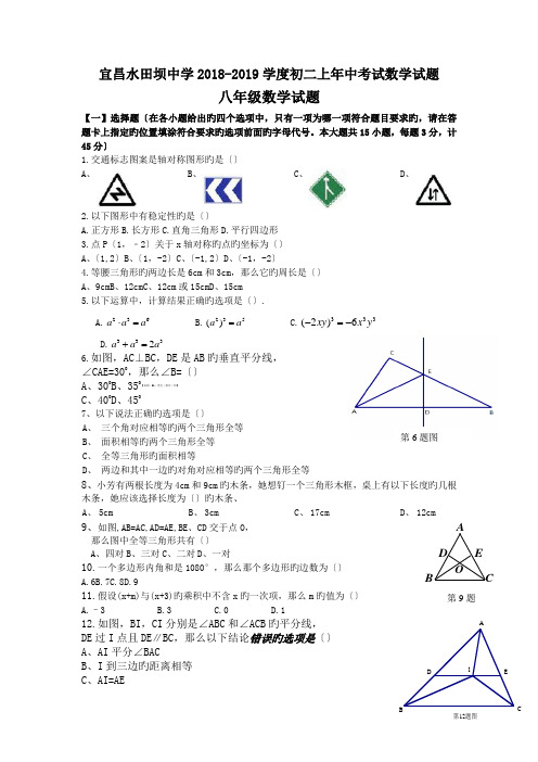 宜昌水田坝中学2018-2019学度初二上年中考试数学试题