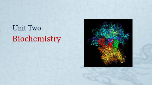 Unit 2 Biochemistry