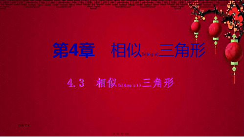 九年级数学上册 第4章 相似三角形 4.3 相似三角形导学课件浙教级上册数学课件