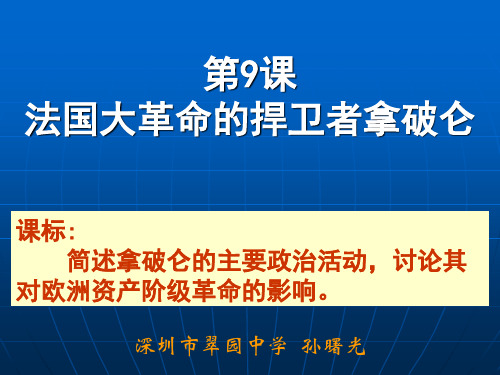 法国大革命的捍卫者拿破仑