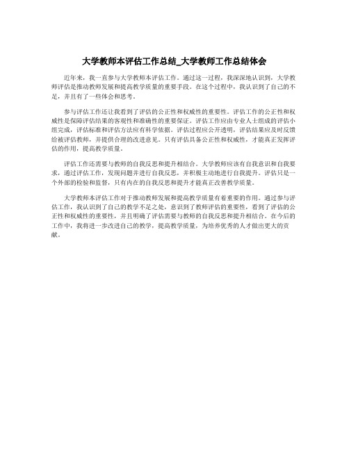 大学教师本评估工作总结_大学教师工作总结体会