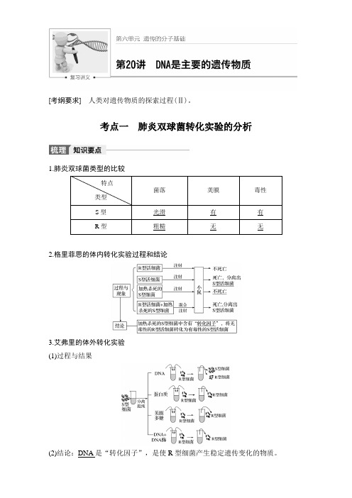 2018版高考生物(人教版全国通用)大一轮复习讲义第六单元 遗传的分子基础 第20讲