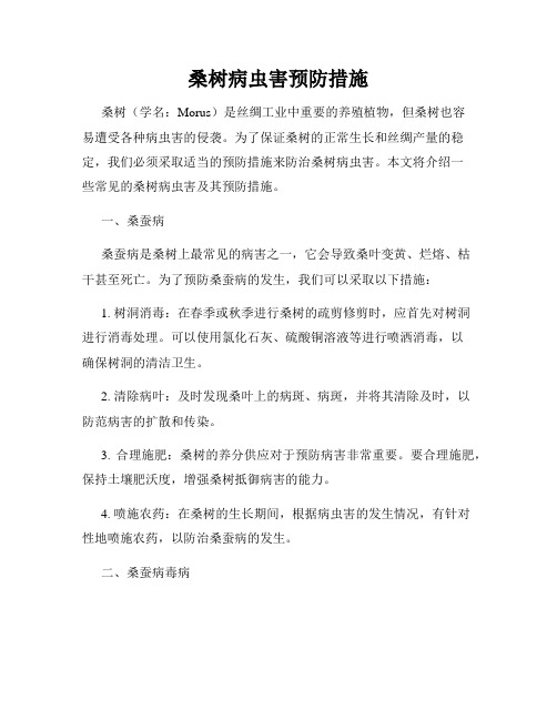 桑树病虫害预防措施