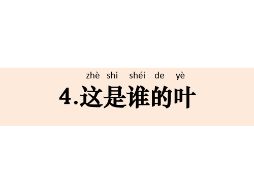 教科版新版一年级上册科学1-4《这是谁的叶》