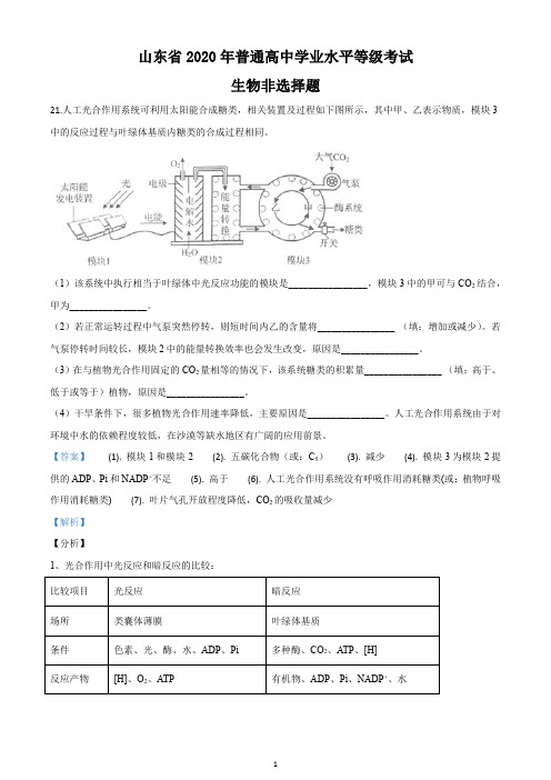 2020年山东省高考生物试卷非选择题(新高考)(解析版)