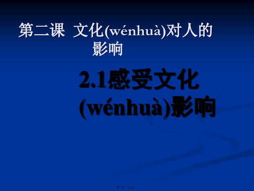 高二政治课件121感受文化的影响2新必修3