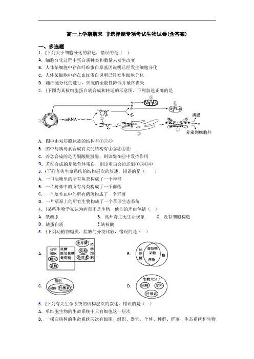 高一上学期期末 非选择题专项考试生物试卷(含答案)