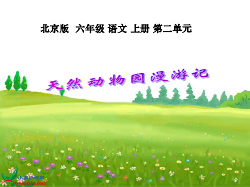 北京版六年级上册天然动物园漫游记2课件教学文稿