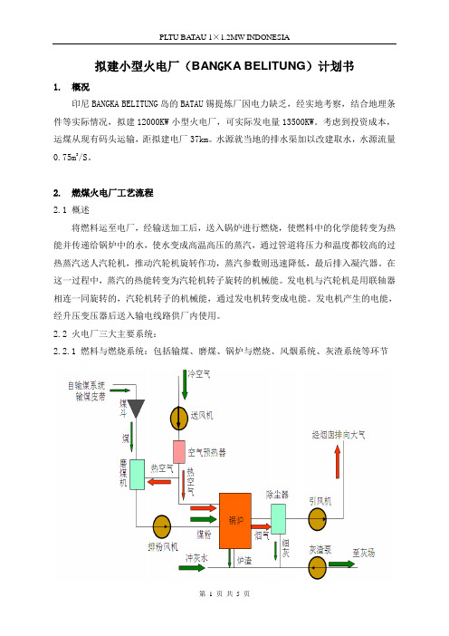 拟建小型火电厂计划书