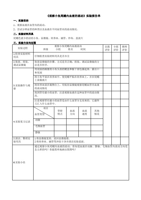 生物人教版七年级下册实验报告设计