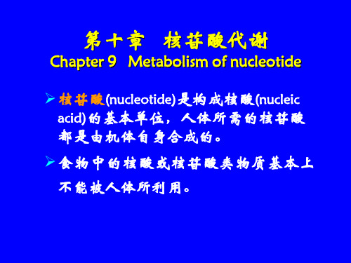 嘌呤核苷酸的分解代谢