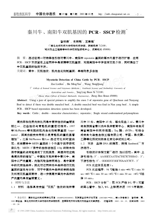 秦川牛、南阳牛双肌基因的PCR- SSCP 检测
