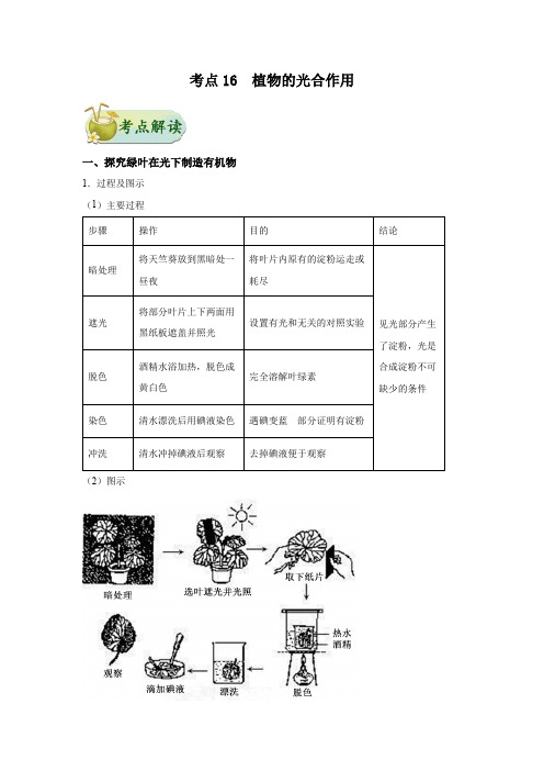 中考生物一遍过考点16 植物的光合作用