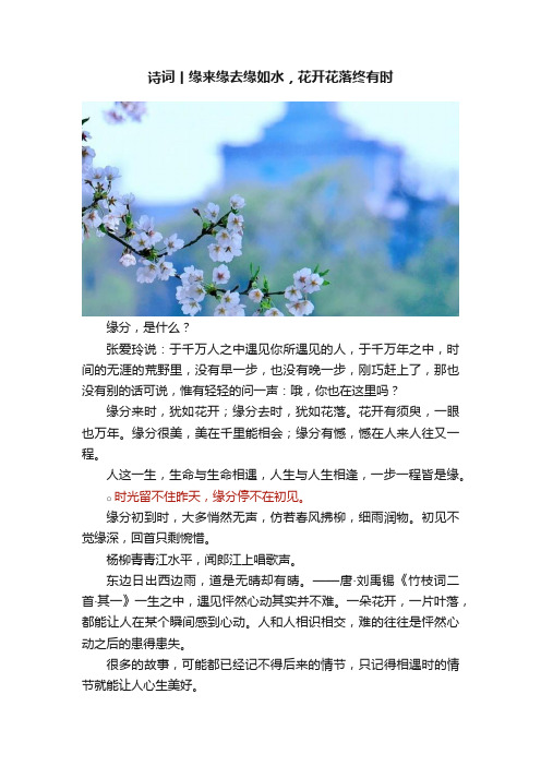 诗词丨缘来缘去缘如水，花开花落终有时