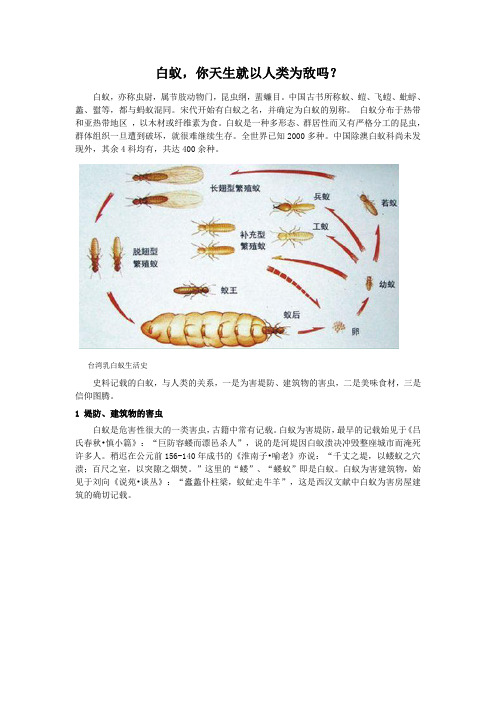 白蚁,你天生就以人类为敌吗？