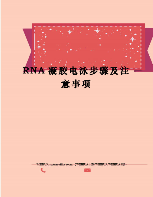 RNA凝胶电泳步骤及注意事项修订稿