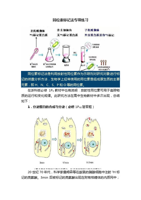 同位素标记法专项练习