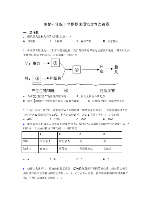 生物七年级下学期期末模拟试卷含答案