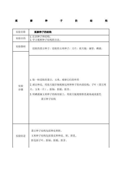 观察种子的结构实验报告