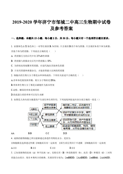 2019-2020学年济宁市邹城二中高三生物期中试卷及参考答案